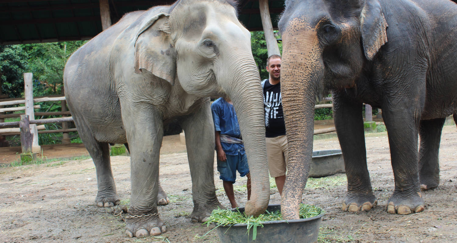 Experience Thailand 6 Days